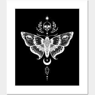 Night moth Posters and Art